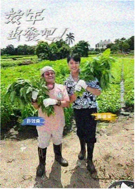 厨房辩论赛 美食综艺在线观看